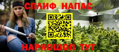 СК Рыбинск